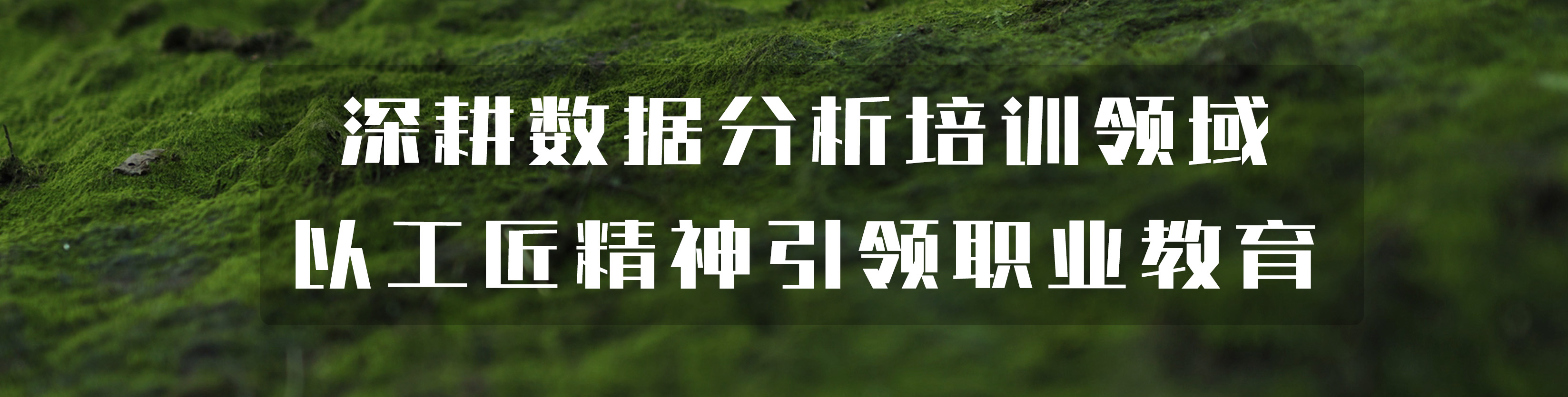 行业大模型应用路径专家座谈会