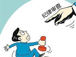 大数据落实惠民政策,湖北去年4月来处分3240人